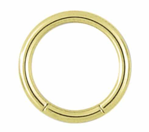 Segmentring Chirurgenstahl Gold Wildcat Colours Shop Hamburg