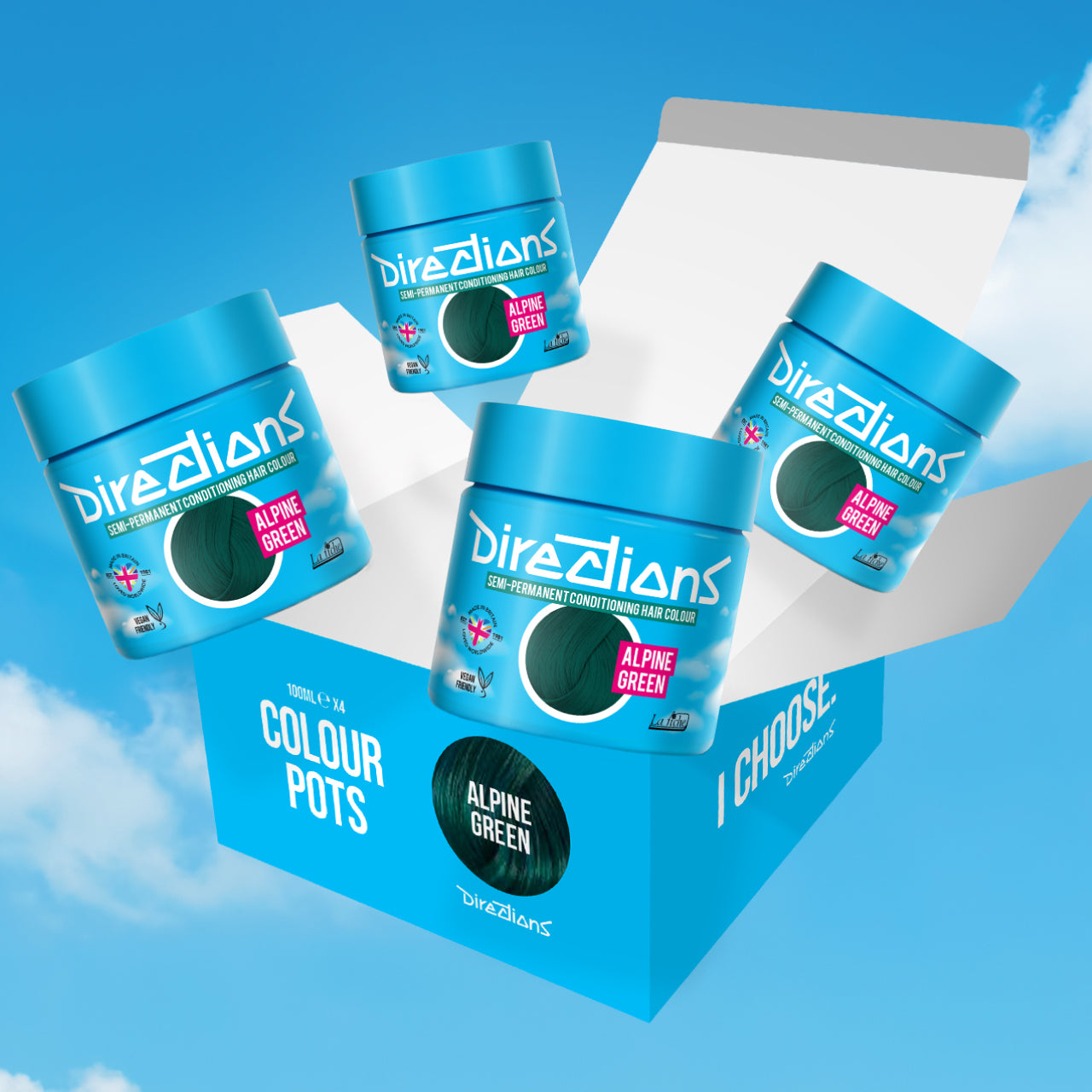 4 er SPARBOX ALPINE GREEN Haartönung Directions