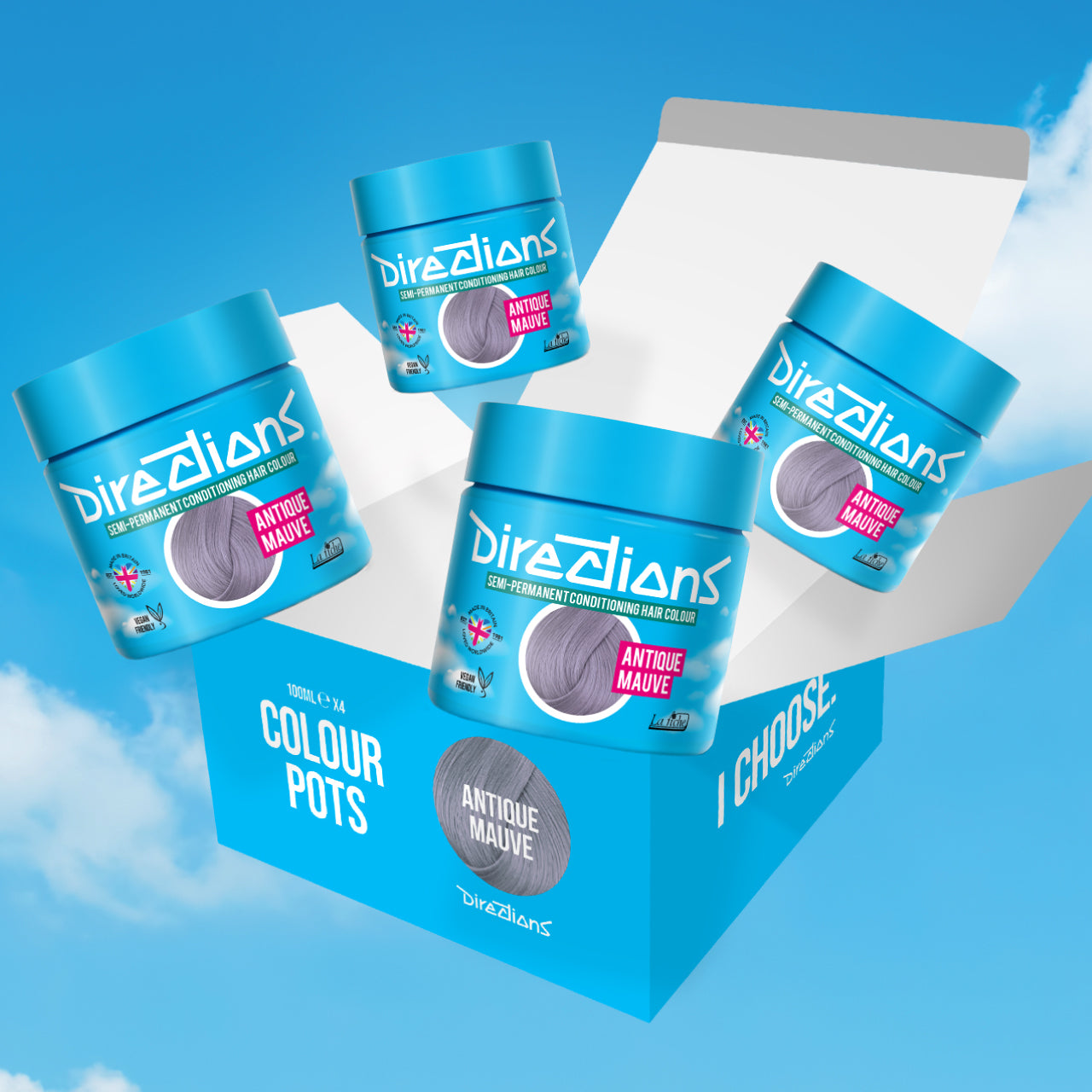 4 er SPARBOX ANTIQUE MAUVE Haartönung Directions