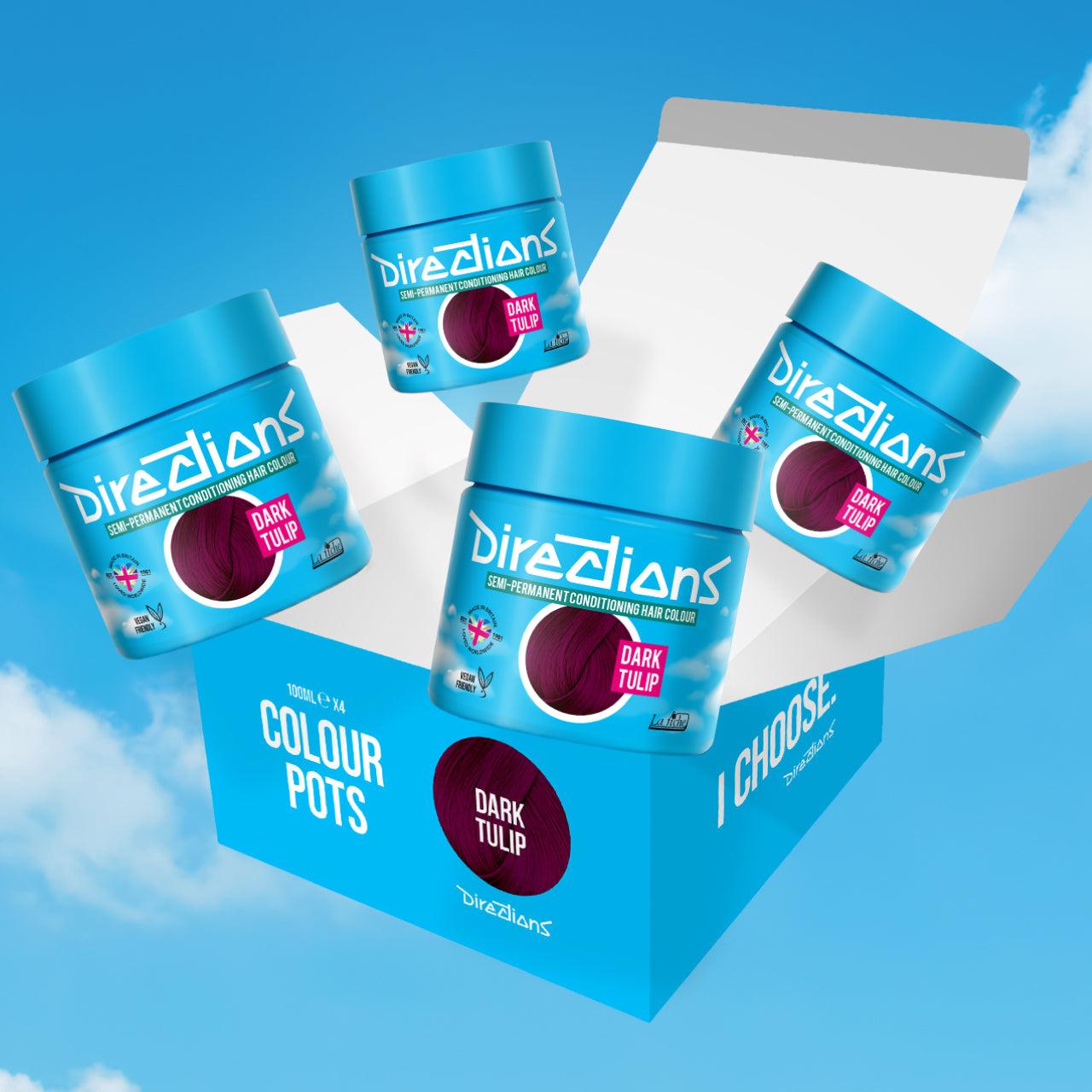 4 er SPARBOX DARK TULIP Haartönung Directions