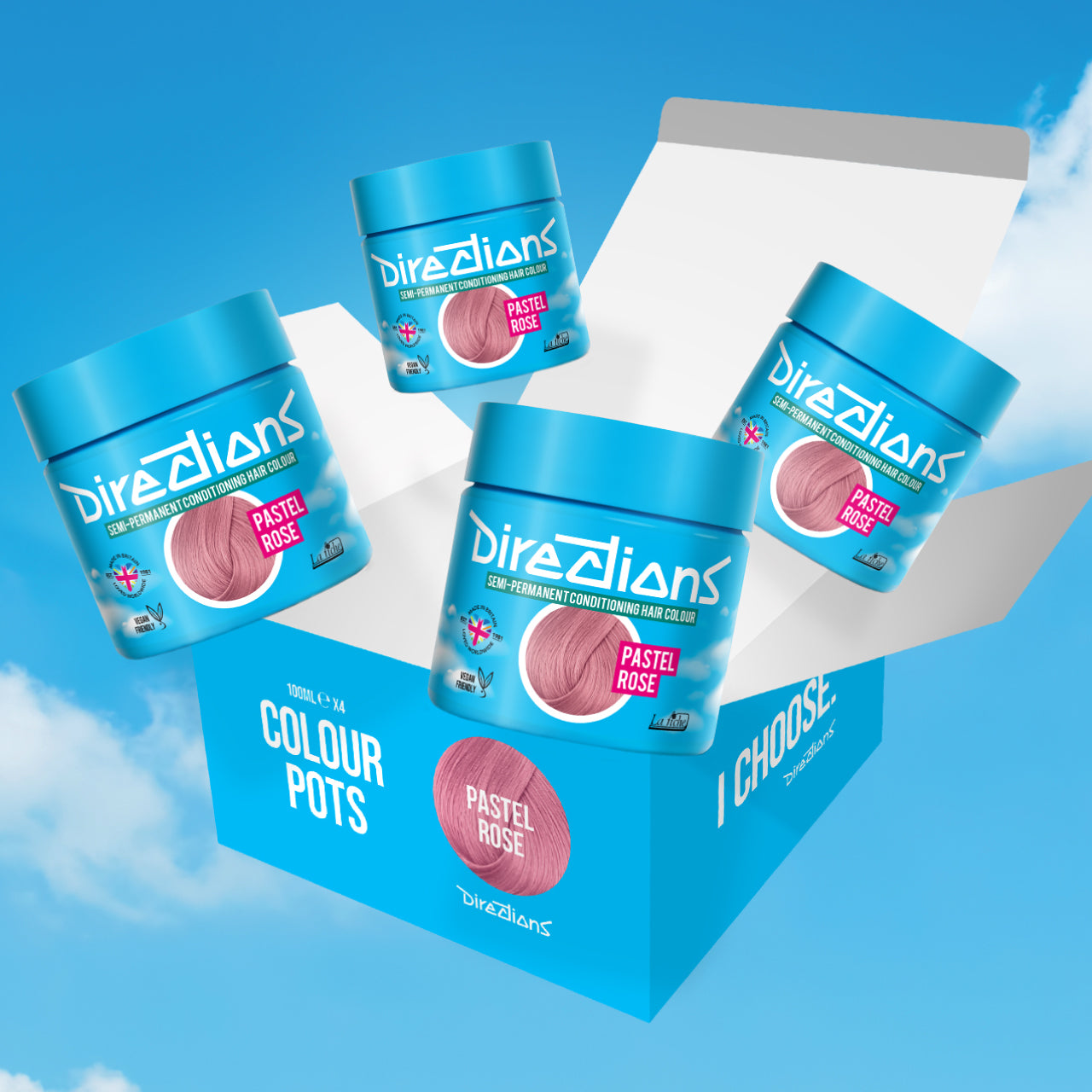 4 er SPARBOX PASTEL ROSE Haartönung Directions