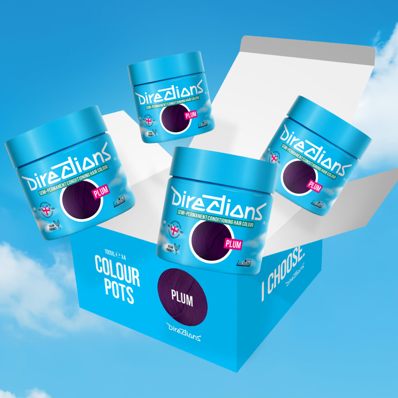 4 er SPARBOX PLUM Haartönung Directions