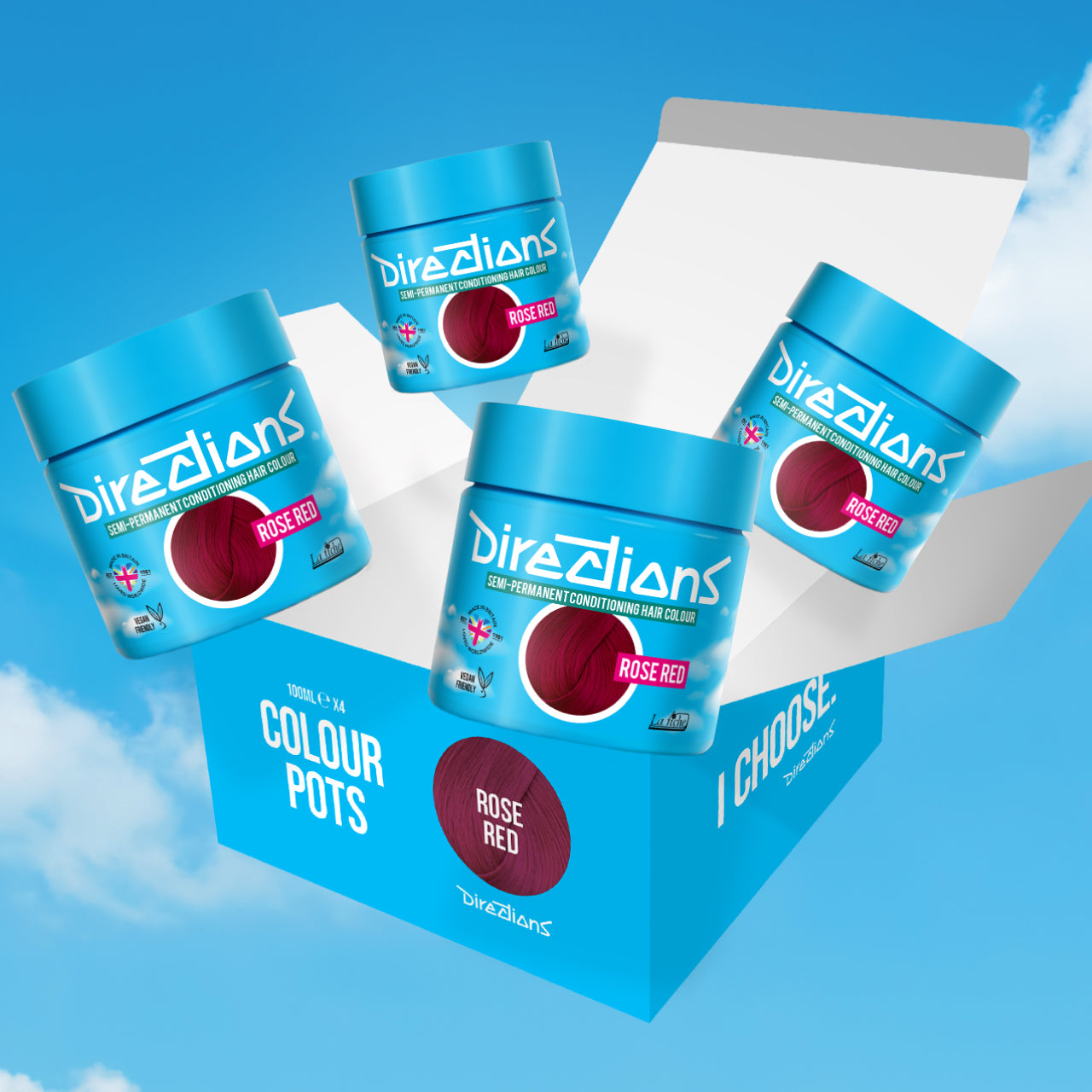 4 er SPARSET ROSE RED Haartönung Directions