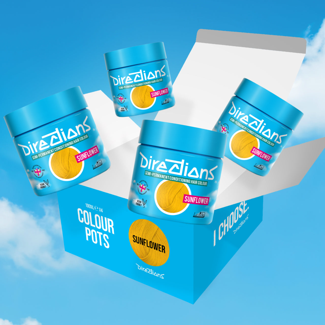 4 er SPARBOX SUNFLOWER Haartönung Directions