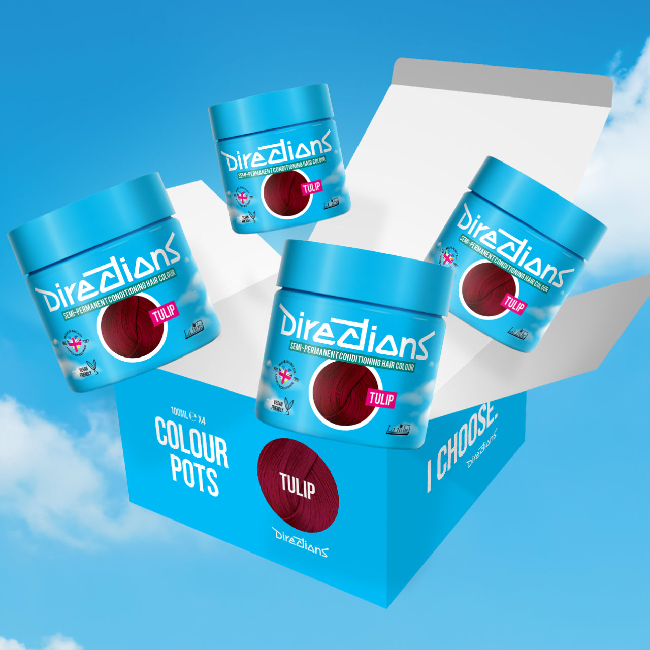 4 er SPARBOX TULIP Haartönung Directions