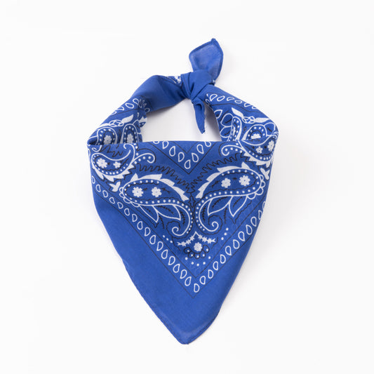 Bandana Kopftuch Blau