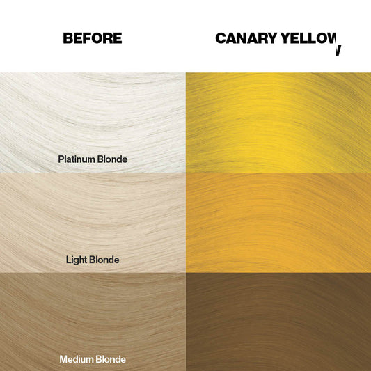 Farbkarte mit Färbebeispielen