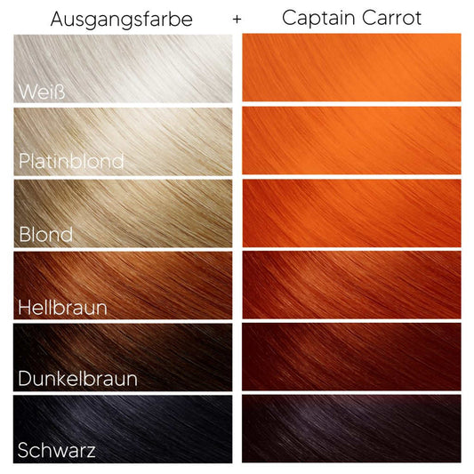 Farbkarte mit Färbebeispielen