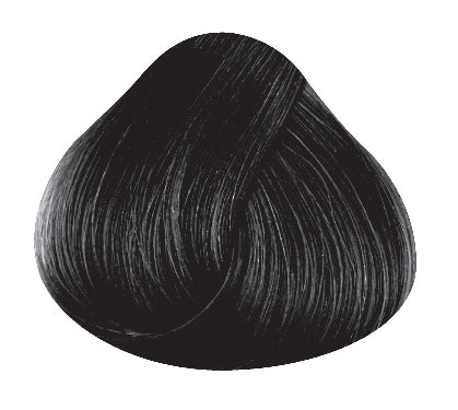 EBONY Hair Color Directions