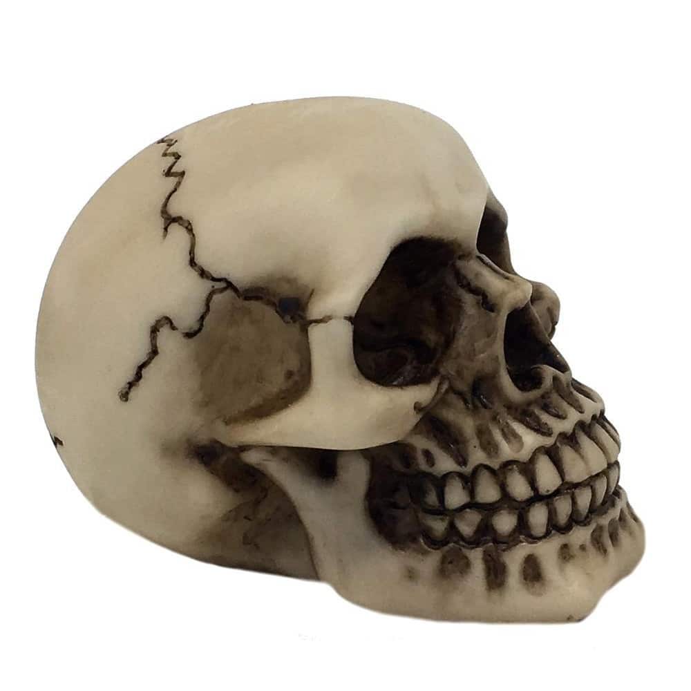 Totenkopf Klassik Mayer Chess