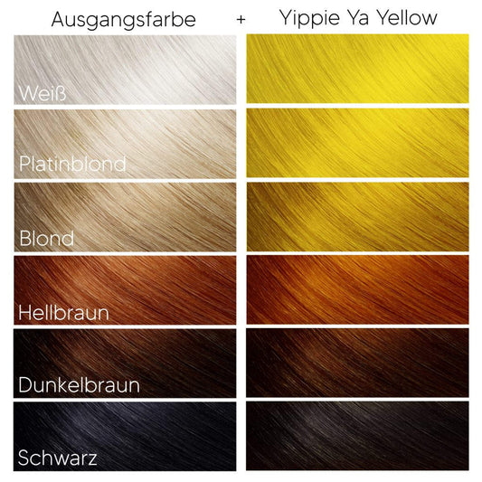 Farbkarte mit Färbebeispielen