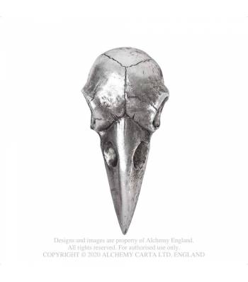 Raven Skull Hand Mirror Silver Alchemy