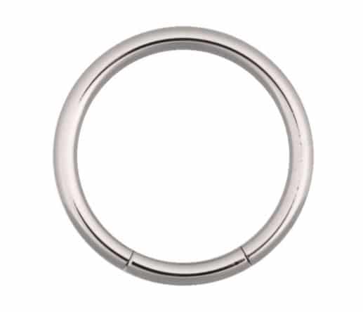 Wildcat segment ring piercing surgical steel silver