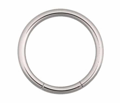 Segment ring surgical steel silver Wildcat