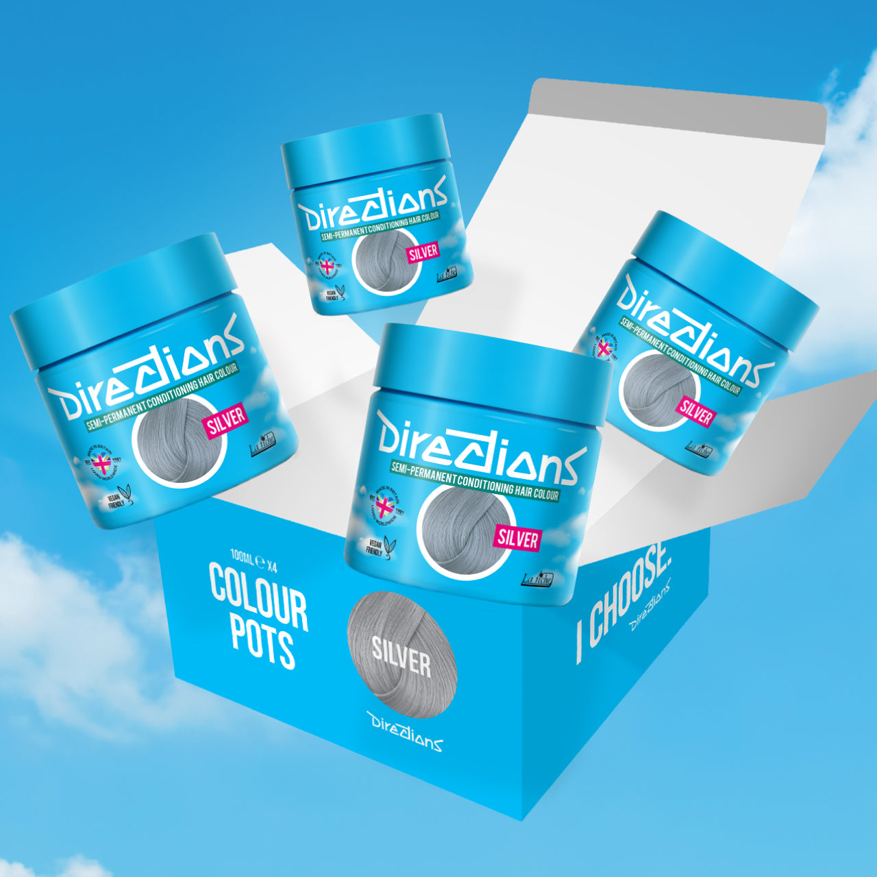 4 er SPARBOX SILVER Haartönung Directions 