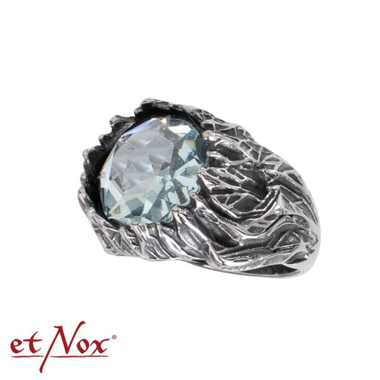 Edelstahlring Eiszeit Ring mit Stein von etNox