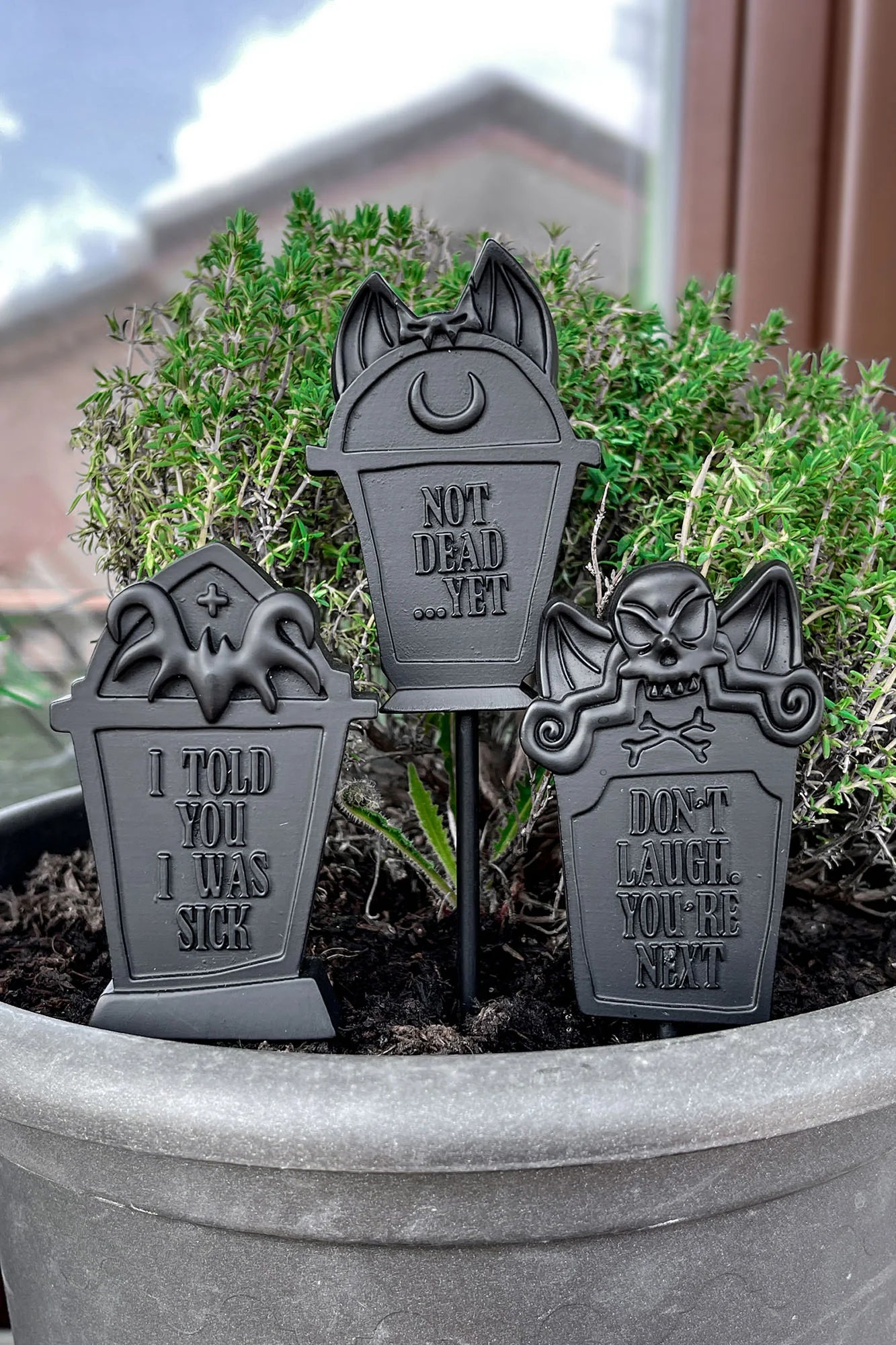 Schwarze Pflanztopschilder Gravestone Plant Pot Markers in Grabsteinform von Killstar