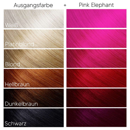 Headshot Pink Elephant Haarfarbe Colours Shop Hamburg