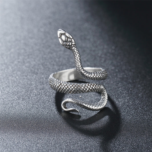 Silberfarbender Edelstalhring in Form einer Schlange, die sich um den Finger windet