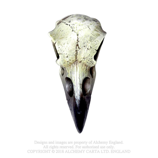 Reliquary Raven Skull Alchemy Colours Shop Hamburg