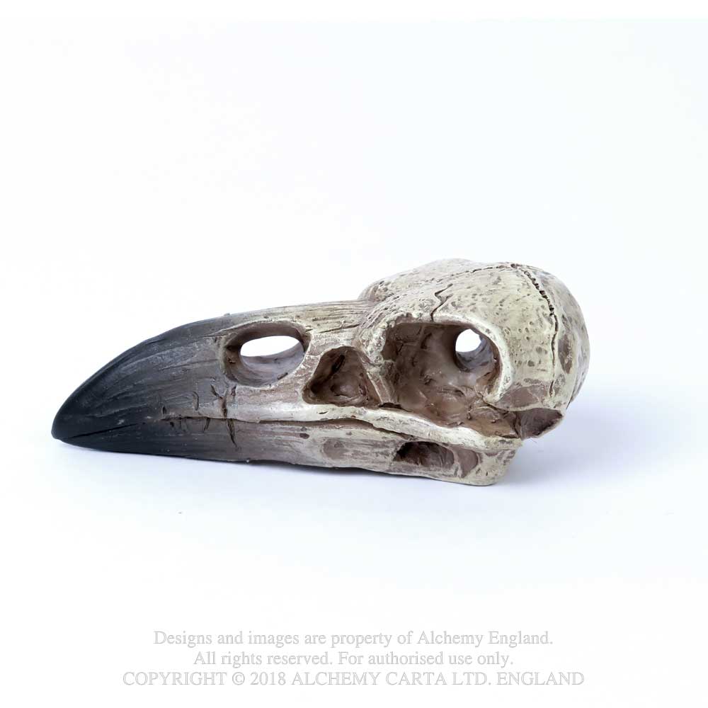 Reliquary Raven Skull Alchemy