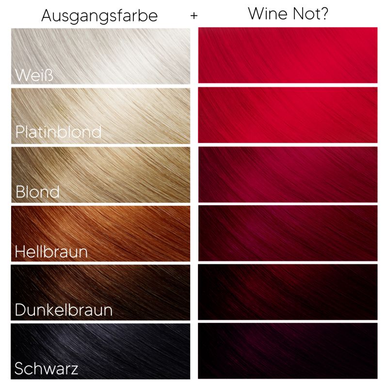 WINE NOT ? Haartönung Headshot 