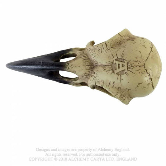 Corvus Alchemica Raven Skull Alchemy