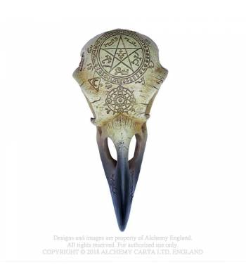 Omega Raven Skull Alchemy Colours Shop Hamburg