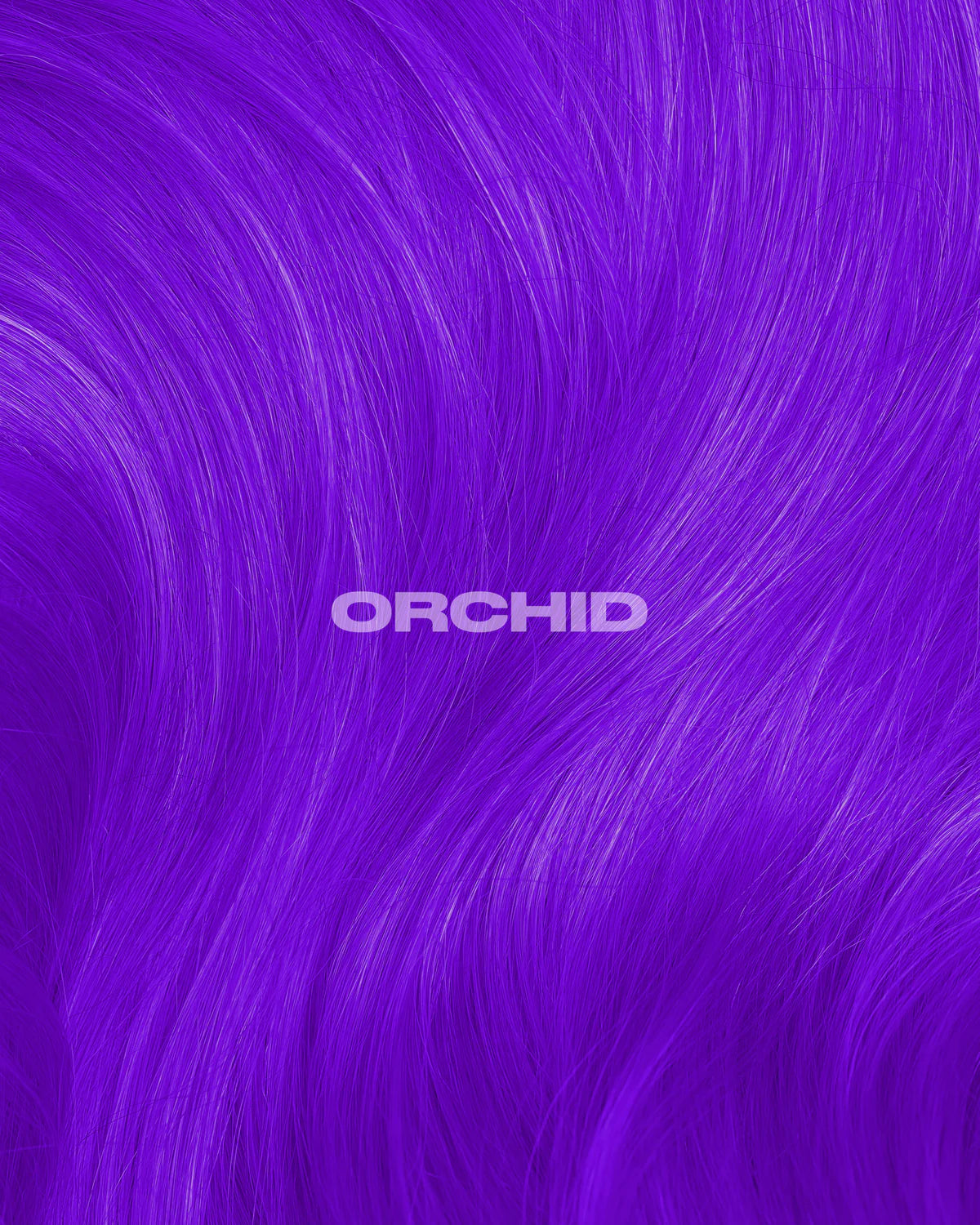 semi-permanente Haartönung Orchid Purple in dem Farbton Lila mit blauen Untertönen von Lunar Tides